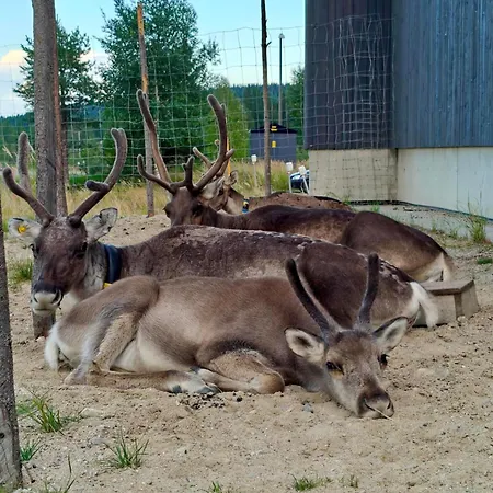 Aada By The Slopes * Iso-Syöte